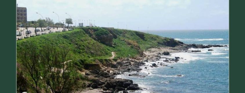 TERRE-ARMATE-TERRE-RINFORZATE: INERBIMENTO, RINVERDIMENTO, RINATURALIZZAZIONE in ambiente fortemente salino.