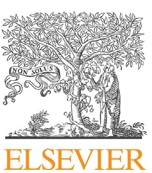 ELSEVIER Journal Cleaner Production - Logo