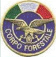 Logo Corpo Forestale dello stato C.F.S.