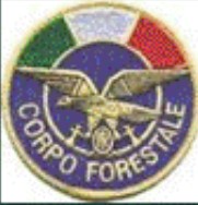 Logo Corpo Forestale dello stato C.F.S.